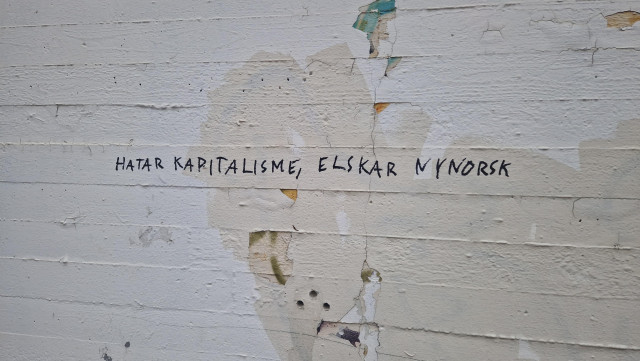 Opinions found on a wall in an Oslo suburb, expressed in "new Norwegian" with black sharpie on painted white concrete. 

It says "Hatar kapitalisme, elskar nynorsk"

(I guess it's one of those "you had to be there" experiences...)