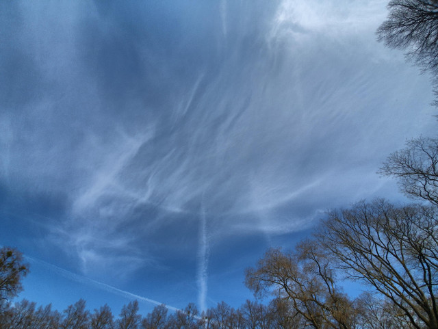 Weitwinkelfoto des Himmels mit Cirruswolken, darin ein heller, farbloser Streifen parallel zum Horizont