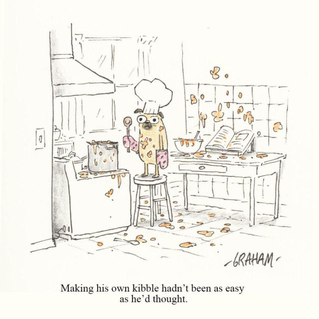 A cartoon illustration of a pug wearing a chef hat standing stunned in a very messy kitchen. Caption reads "Making his own kibble hadn't been as easy as he'd thought."