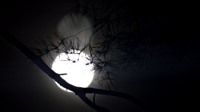 The moon and a reflection 