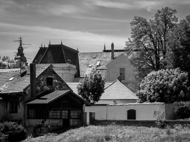 Schwarzweiß, Wimmelbildcharakter. Blick über eine Wiese auf den älteren Teil einer Stadt, der nur aus verschiedensten Dächern zu bestehen scheint.