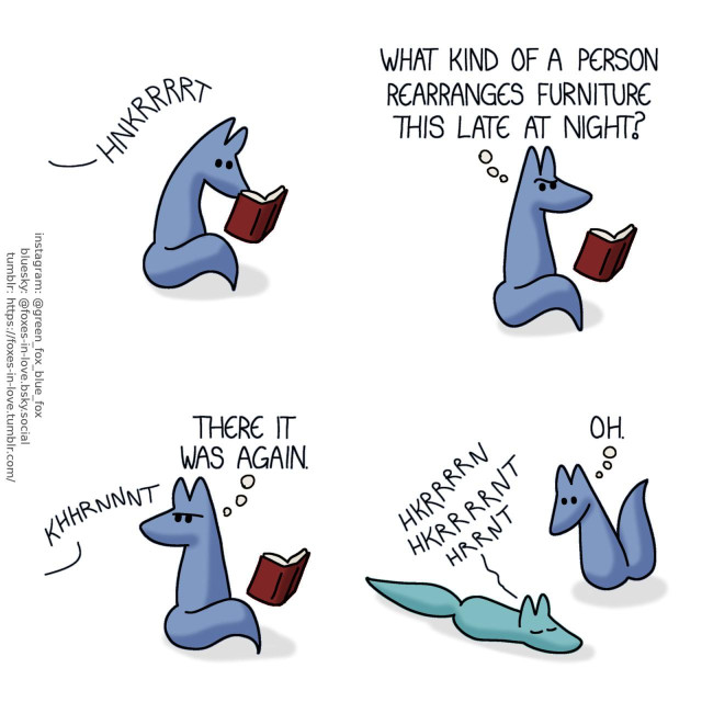 A comic of two foxes, one of whom is blue, the other is green. In this one, Blue is sitting by himself, reading a book, as he hears a strange rumbling sound. Blue looks up from his book, looking confused. Blue, thinking: What kind of a person rearranges furniture this late at night?  The noise repeats, and Blue turns his head to look towards the direction it came fron. Blue, still in thought: There it was again.  Investigating the source of the sound, Blue finds Green sleeping on the floor. The noise he heard was Green snoring. Blue, thinking: Oh.