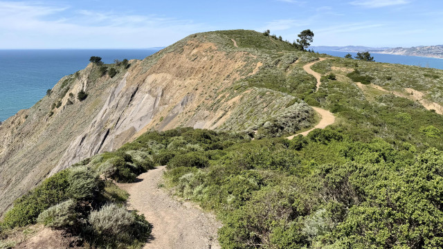 Dirt path leading up a narrow scrubby ridge between a green slope and a rocky plunge into the ocean. In the background, Pacifica and San Francisco. 