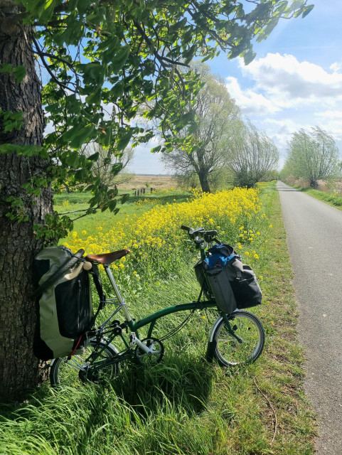 A folding bicycle leaning towards a tree next to a bicycle road. Flowers, bushes, and trees next to the road. It is a sunny day.