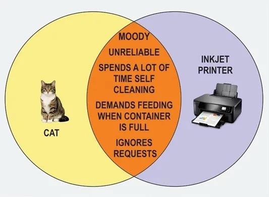 CAT picture on one side of Venn diagrm

MOODY UNRELIABLE SPENDS A LOT OF TIME SELF CLEANING DEMANDS FEEDING WHEN CONTAINER IS FULL IGNORES REQUESTS 

INKJET PRINTER on other side of Venn diagram 