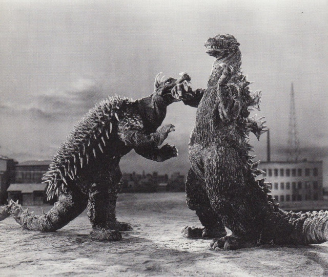 Anguirus and Godzilla fighting.