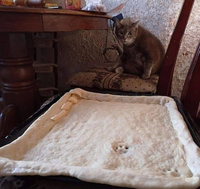 a large pie ready for baking, with two cat footprints embedded upon the pastry, with a cat across the table looking innocently 