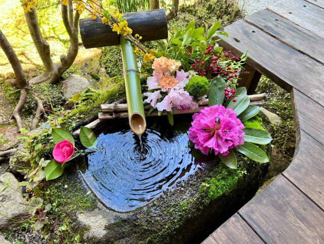 A small fountain fed by a bamboo tube beside an engawa in a small garden. There are three different pink flowers along the edge of the fountain.