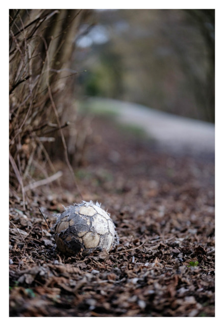Foto im Hochformat. Ein alter abgenutzter Fußball liegt im trockenen Winterlaub. Dahinter ist unscharf ein Weg zu erkennen.
