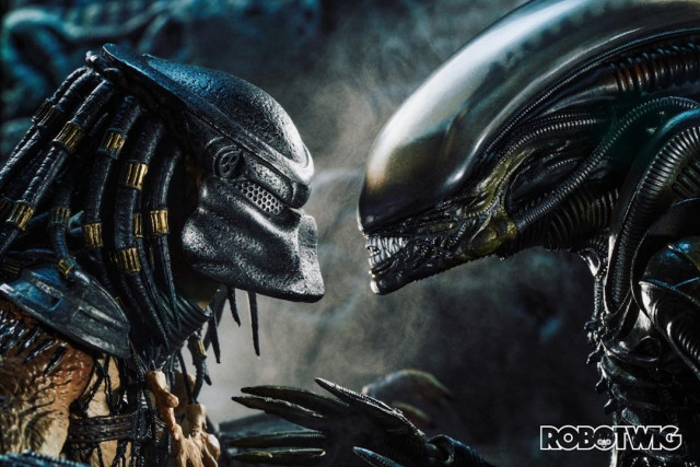 Predator faces of with an alien face to face