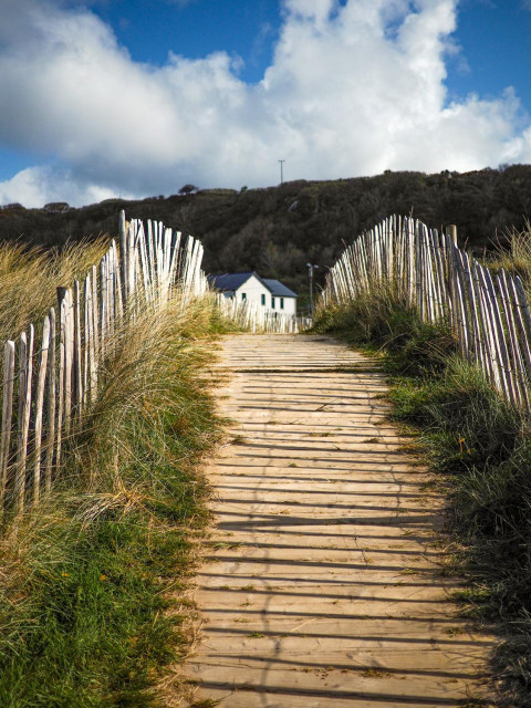 A rustic boardwalk with white fences and a strip of grass on each side leading to a white house with a blue roof in the background on a beautiful, sunny day.