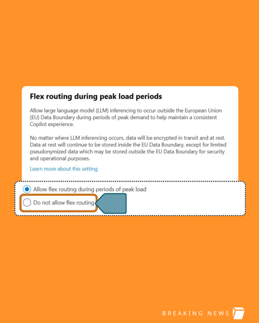 Screenshot of Microsoft flex routing during peak load period setting that shows what you need to select to not allow flex routing.