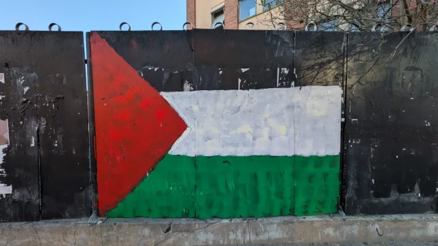The Palestine flag.