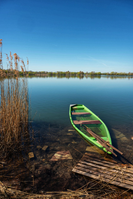 Ein hellblauer, wolkenloser Himmel wölbt sich über einer weiten, spiegelglatten Wasserfläche, die im Hintergrund von einem schmalen Uferstreifen mit grünen Bäumen begrenzt wird. Im Vordergrund liegt ein schmales, hellgrünes Holzboot im seichten, klaren Wasser, das zur Hälfte gesunken ist, sodass das dunkle Innere und die hölzernen Sitzbänke unter der Wasseroberfläche sichtbar sind. Zwei braune Ruder ragen schräg aus dem Boot heraus und stützen sich auf eine verwitterte Holzpalette am unteren Bildrand. Links ragen hohe, vertrocknete Schilfhalme in warmen Beigetönen steil nach oben und bilden einen markanten vertikalen Kontrast zur horizontalen Weite des Sees. Der sandige Grund unter dem flachen Wasser ist durchsetzt mit Steinen und Pflanzenresten, während sich das sanfte Sonnenlicht auf der gesamten Szenerie spiegelt und eine friedliche, fast einsame Frühlingsatmosphäre schafft.