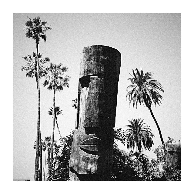 A carved wooden totem-like face stands among tall palm trees under an open sky.