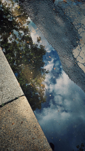 Reflection of sky and chestnut tree in a streetside puddle.