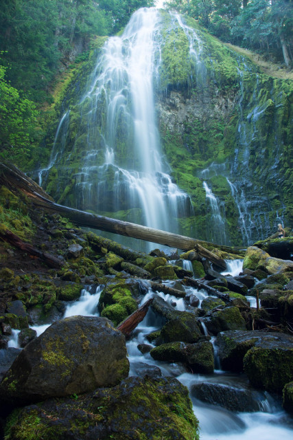 A cascading waterfall flows over a moss-covered cliff, surrounded by lush green trees. In the foreground, smooth stones and logs are partially submerged in a gentle stream.