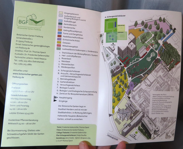 Holding up the tour map of the botanical garden. A 3/4 aerial view is on the right and on the left is a color, alphanumerical legend to match it. It's all in German, which I do not know well, so it's hard for me to do alt text. But I'll paste in what OCR I have of it. "Eingangsbereich
Aulsenbereich und
Eingang Biologie Il und III
Sudhalbkugel
Zentralbereich
Nordamerika
Gebirgstiora/Alpinum
Farne und Ziergehölze
Nadelbaume/Koniferen
Einheimische Arten
Ostasien
Mittelmeergebiet
Laubwaldzone Südeuropas U. Vorderasiens
Stammbaum der Blütenpflanzen / System
2. Heil - und Giftpflanzen
3. Rosenbeet
4. Weinbeet
5• Wasserbecken
6. Weidendavillon
A. Schaugewächshäuser
B. Anzucht-, Versuchsgewachshauser und Gartnerstutzpunkt
C. Betriebsgebaude
D. Gartendirektior
E. Versuchsgewächshaus
F. Biologie Il und III
G. Biologie | und Zoologische Schausammlung
H. Zentrum für Biosystemanalyse (ZBSA)
Haupteingang
Eingänae
Der Botanische Garten liegt im
Stadtteil Herdern und ist mit der Stadtbahnlinie 2 in Richtung Zähringen, Haltestelle Hauptstr./Botanischer
Garten, schnell zu erreichen
A. Schaugewachshäuse
Texte Friederike Gallenmüller. Thomas Speck
Fotos © Botanischer Garten Freiburg
Collage Titelseite Friederike Gallenmüller
Plan Schaugewachshauser Katja Stauffer
Gestaltung doris tranke . diplom-designerin (fh)
viS dP Thomas Speck"