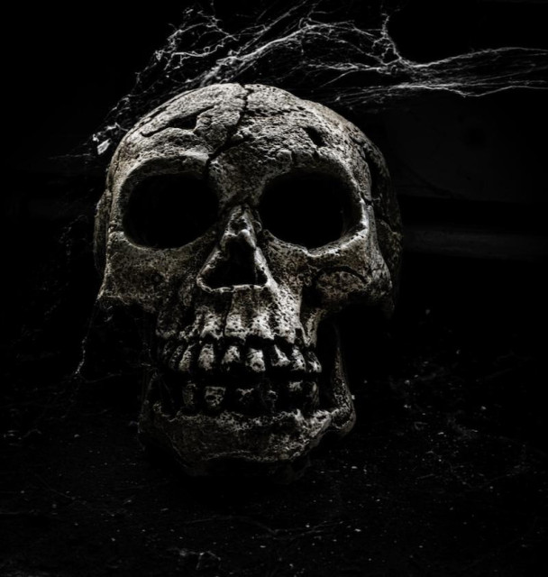 Auf dem Foto sieht man eoinen kleinen menschlichen Schädel (ein Modell) der teilweise von Spinnwegen bedeckt ist. Alles andere verschwimmt in der Dunkelheit.