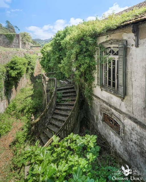 A dramatic view of an abandoned "Dream Palace" in Portugal, featuring an overgrown stone staircase leading up to a weathered building reclaimed by lush green foliage.
