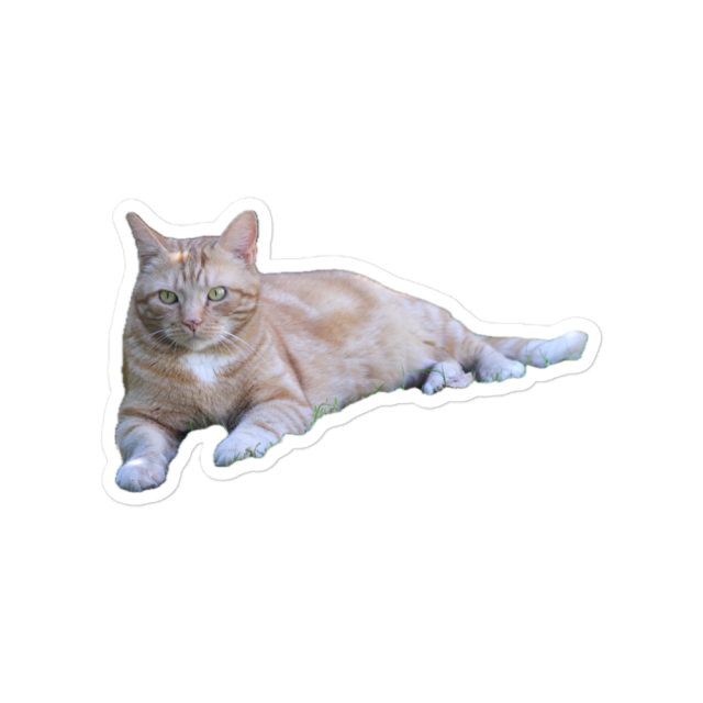 George the cat sticker on stux.store