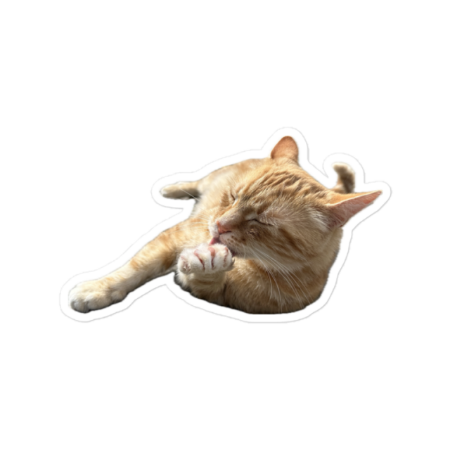 Washy the cat sticker on stux.store