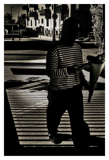 Silhouetted person in a striped long-sleeve shirt standing on a sunlit sidewalk with strong horizontal shadow lines, holding a cone-shaped bouquet; apartment buildings, street signs, and parked cars in the background.