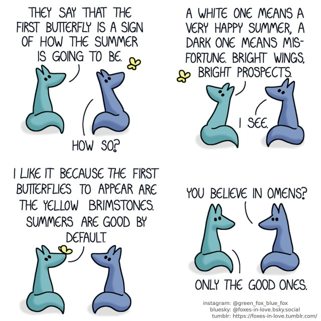 A comic of two foxes, one of whom is blue, the other is green. In this one, Blue and Green are outside, looking at a bright yellow butterfly that flutters about them. Green: They say that the first butterfly is a sign of how the summer is going to be. Blue: How so? Green: A white one means a very happy summer, a dark one means misfortune. Bright wings, bright prospects.  Blue watches as the butterfly lands on the tip of Green's nose. Green: I like it because the first butterflies to appear are the yellow brimstones. Summers are good by default.  As the butterfly leaves them, Blue and Green look at each other. Blue: You believe in omens? Green: Only the good ones.