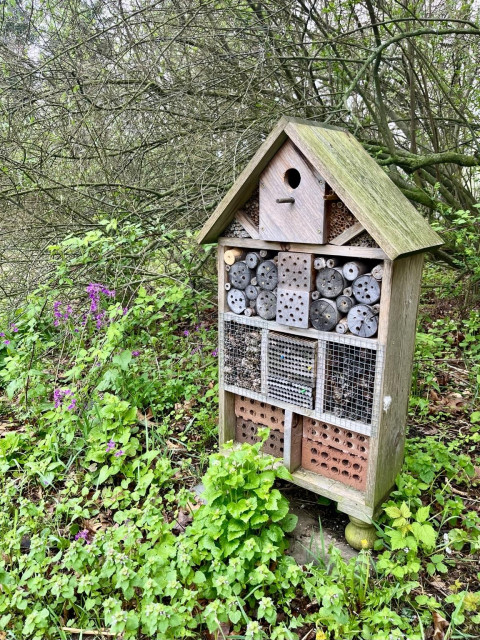 4 foot tall wooden structure with a roof like a house. The Ope. Face is filled with logs, bricks, and honeycomb shaped holes. All have holes of various sizes to accommodate the preferences of solitary bees and bugs. At the top is a birdhouse. It is surrounded by greenery and purple flowers.