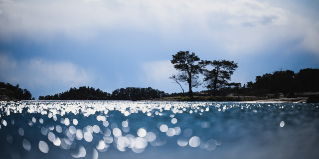 A wide aspect ration photograph of an archipelago in the Baltic sea. The photograph is taken just over the water surface, facing the sun.

The bottom half of the photograph is an out of focus water surface, sparkling in the sun. The surface is full of white bokeh discs, Large at the bottom edge, gradually getting smaller toward the horizon where they vanish and the focus is sharp.

Above the water line are a chain of rocky, tree covered islands from edge to edge. On the rightmost and nearest two large pine trees stand, dominating the horizon.

The sky behind is dominated by large white clouds with darker soft areas below, from light rain in the distance.