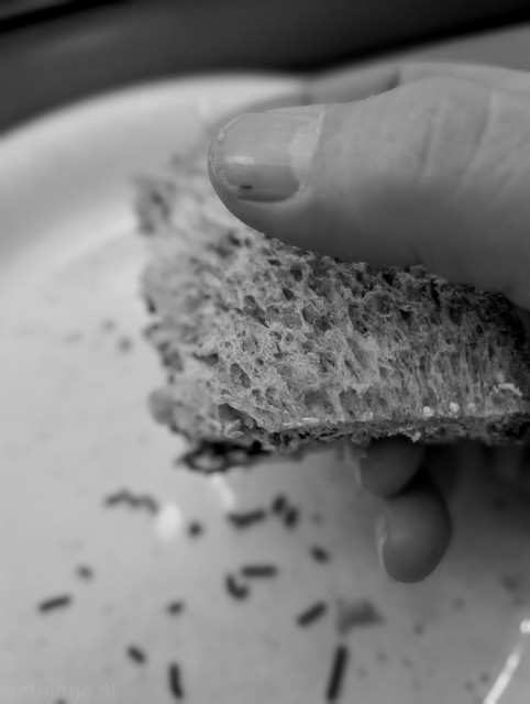 A black-and-white, close-up photograph capturing a person holding a partially eaten piece of bread. Scattered across the plate are several small, dark, rod-shaped chocolate sprinkles that have fallen from the bread.