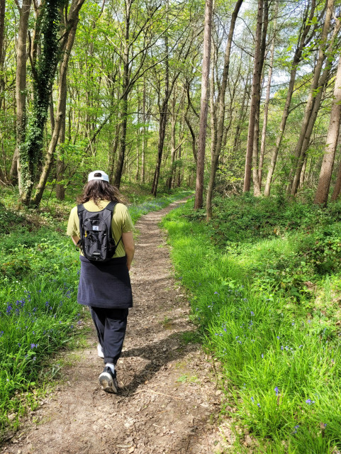 A long haired man walking through a wood, with bluebells either side of the path.