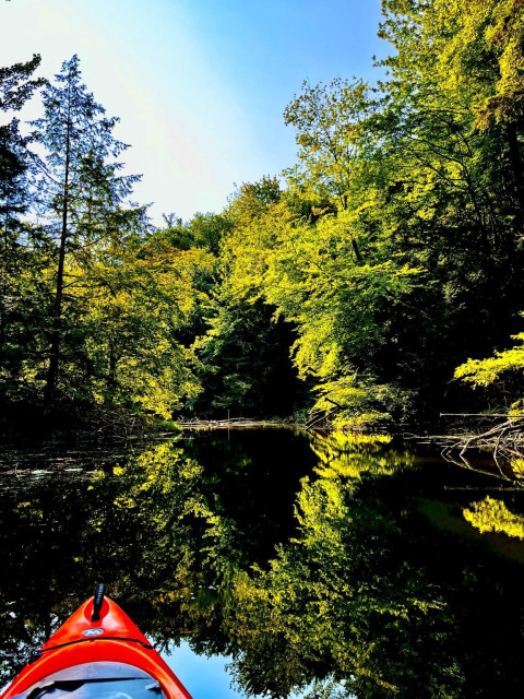 Orange kayak on a small stream in Michigan surrounded by trees in mid summer. Ahead the trees on either side lean over the creek and create the illusion of a triangular arch. This well-lit yellowish-green arch is reflected on the still water creating a diamond portal for you to enter. 