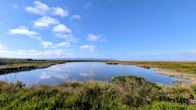 A marsh pond reflects the clouds on a early morning earlier this week. 