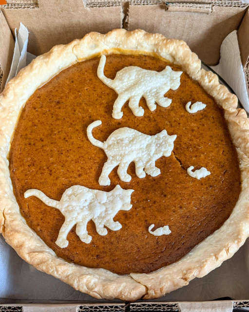 A hot out of the oven pumpkin pie is cooling in a cardboard fruit box waiting for the ride to my daughter's house. The crust is a little sketchy and receded on one side. There are extra crust cat and mouse decorations on top. 