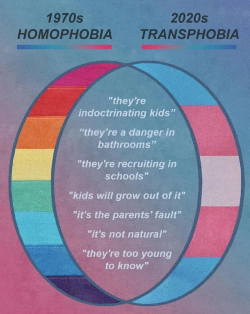 A Venn diagram compares "1970s HOMOPHOBIA" and "2020s TRANSPHOBIA." The left circle features a rainbow-colored gradient, while the right circle is light blue. The overlapping middle section contains seven phrases written in white text. The text reads: "they're indoctrinating kids", "they're a danger in bathrooms", "they're recruiting in schools", "kids will grow out of it", "it's the parents' fault", "it's not natural", and "they're too young to know".