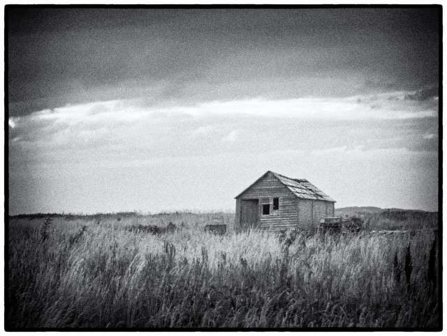 A small weathered wooden shack sits alone in a field of tall grass under a vast sky, captured in high-contrast black and white. The scene has a grainy texture, with soft light illuminating the grasses and a sweeping cloud band stretching across the horizon.