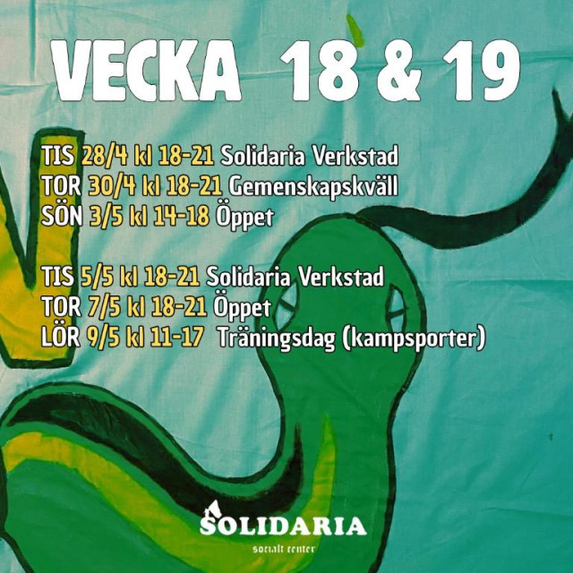 The image is a promotional flyer for Solidaria Social Center, detailing the schedule for Weeks 18 and 19. It features a hand-painted green snake graphic on a teal fabric background.

