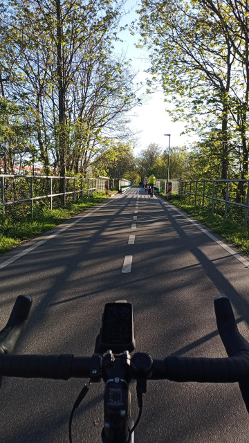 Im Vordergrund ein Dropbarlenker mit Navigationsgerät, voraus eine breite eingewachsene Veloroute. Die aufgehende Sonne und due Bäume werfen lange Schatten über die Fahrbahn.