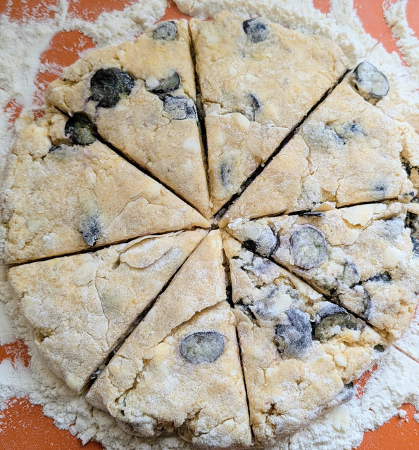 Lemon blueberry scones in the rough. A flattened circle of dough is cut into eight pieces. 