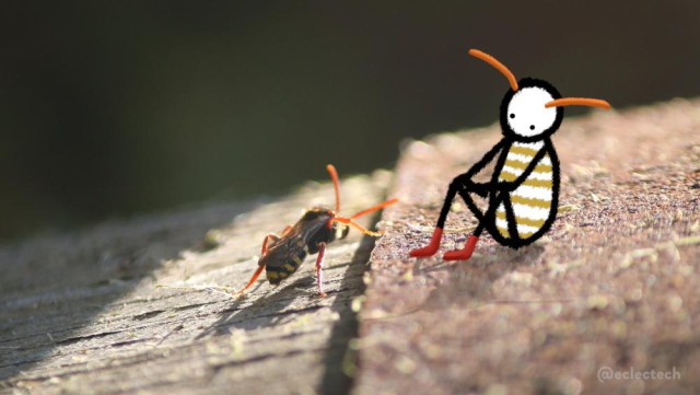 A photo of a wasp or wasp-like bug on the side of a barrel. The left surface is wood, the right a rusty metal. The focus is on a single strip across the centre, with the foreground and background blurred. The barrel is lit by bright sun but the background is dark. On the left is the bug, it has a yellow and black striped body and bright orange / red limbs and antennae. On the right is Friend, a simple drawn figure, usually presented in simple black and white. Today they have yellow stripes on their torso, red socks, and bright orange antennae. They are sitting, arms resting on their knees, and watching the bug.