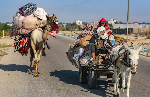 People in Gaza use donkeys as a means of transportation and to carry their belongings.