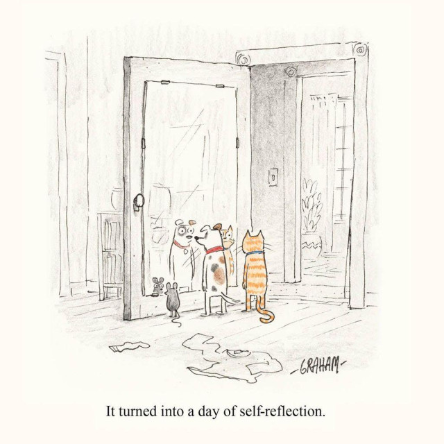 A cartoon illustration of a mouse, dog, and cat all staring together into a mirror, deep in thought. Caption reads "It turned into a day of self-reflection."