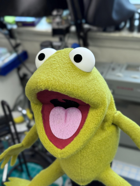 Closeup of a puppet that resembles Robin the frog