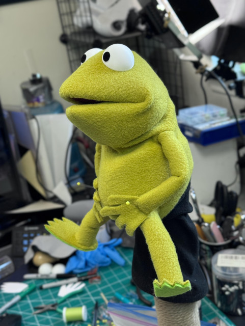 Right view of a puppet that resembles Robin the frog