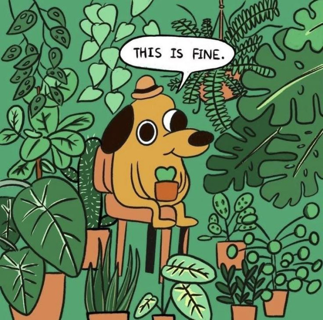 This is fine dog but instead of fire there's plants all around him.