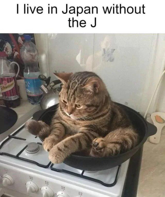 A cat sitting inside a frying pan on a stove, with a caption about living in Japan without the letter "J."