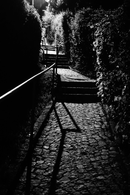 A nighttime black-and-white photo of a narrow, cobbled path, partly with steps, leading uphill. On the left is a handrail casting a shadow on the path. There are hedges on both sides. At the top, there appears to be a streetlight.