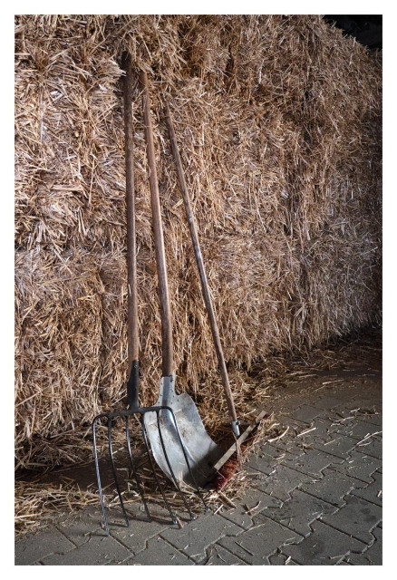 The image shows three well used farming tools leaning against a large stack of dry, golden-brown hay bales. On the left stands a pitchfork with a long wooden handle and six metal tines. In the middle is a broad metal shovel with a worn scoop, and on the right leans a broom with a long wooden handle and reddish bristles. The tools stand on a dark gray paved stone floor, with some loose straw scattered around them. The entire background is filled with the textured wall of hay, giving the scene a warm, rustic farm atmosphere. The lighting is natural and creates soft shadows.