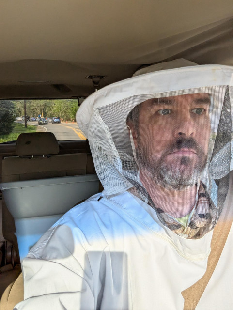 Selfie of me in the car with a tote full of bees in the back seat, I'm wearing the bee suit while driving home